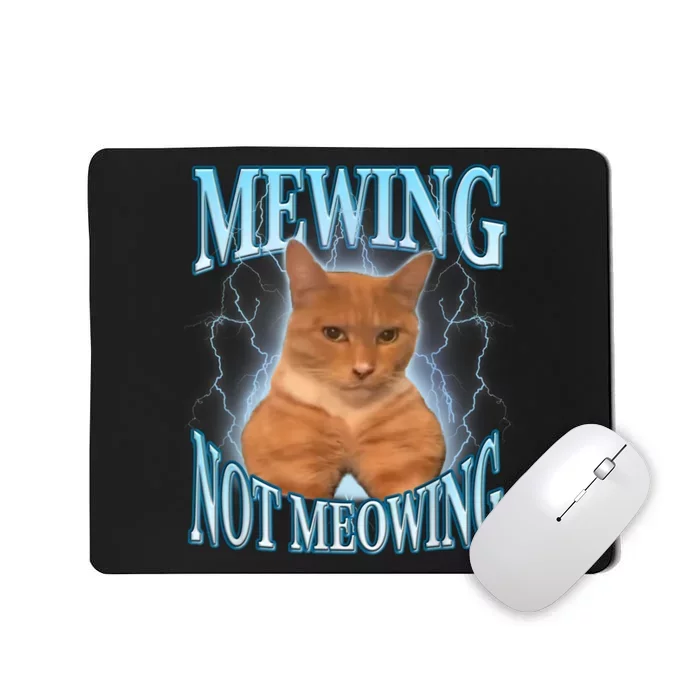 Funny Cat Meme Meowing Looks Max Meowing Mousepad