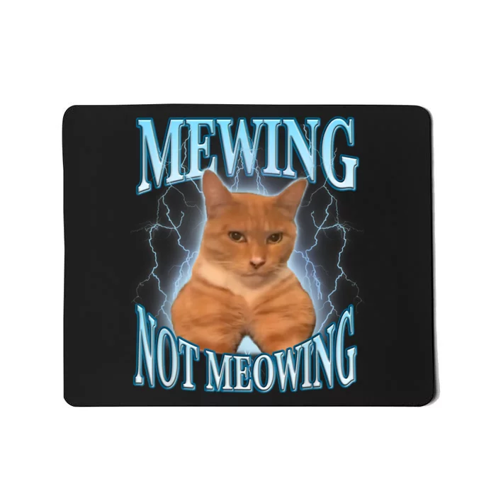 Funny Cat Meme Meowing Looks Max Meowing Mousepad