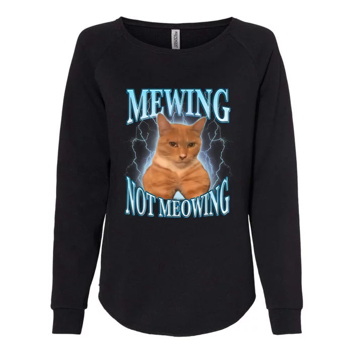 Funny Cat Meme Meowing Looks Max Meowing Womens California Wash Sweatshirt