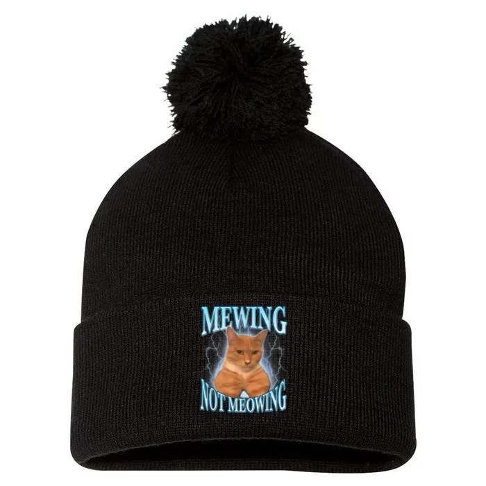 Funny Cat Meme Meowing Looks Max Meowing Pom Pom 12in Knit Beanie