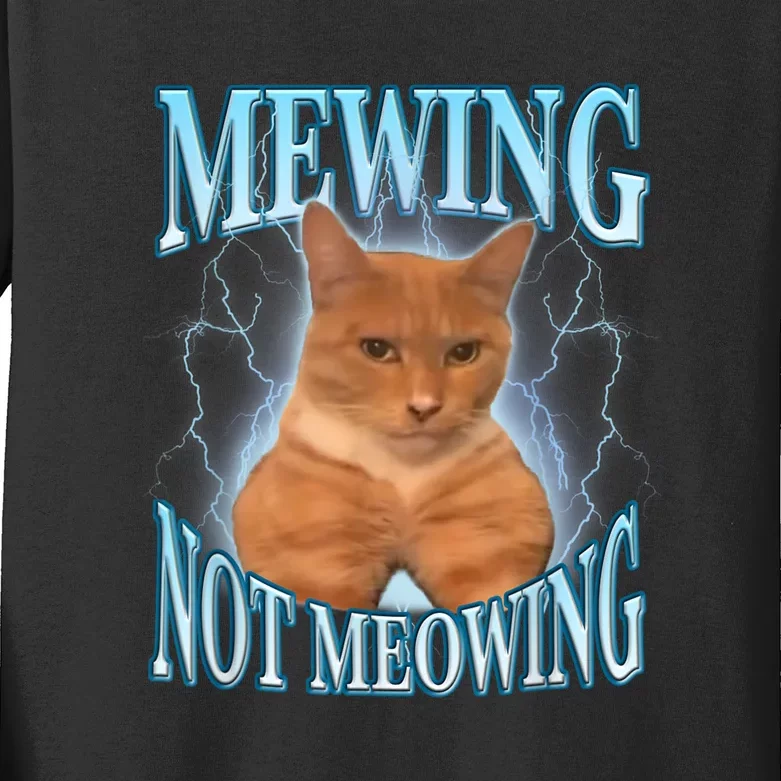 Funny Cat Meme Meowing Looks Max Meowing Kids Long Sleeve Shirt