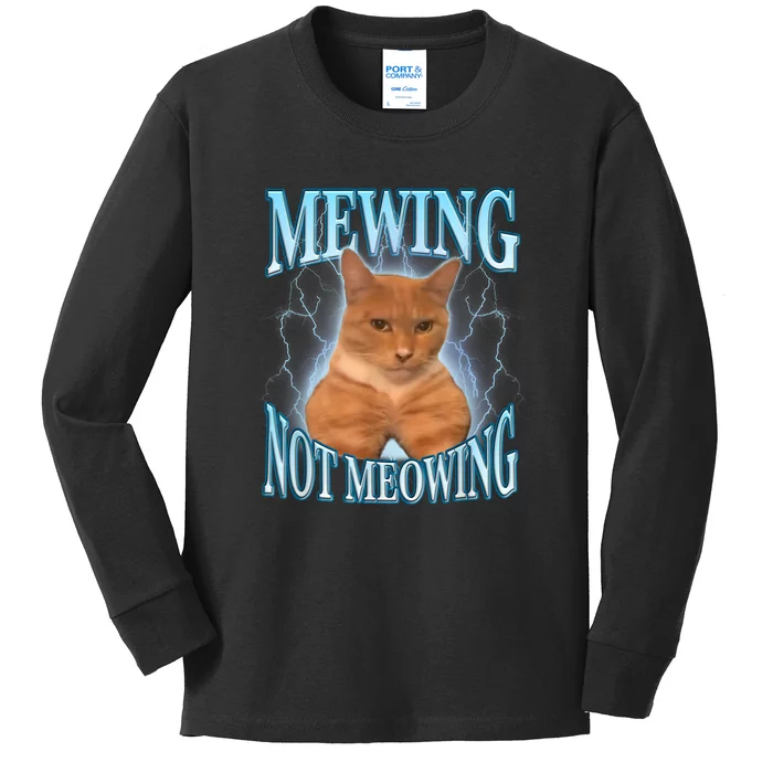 Funny Cat Meme Meowing Looks Max Meowing Kids Long Sleeve Shirt