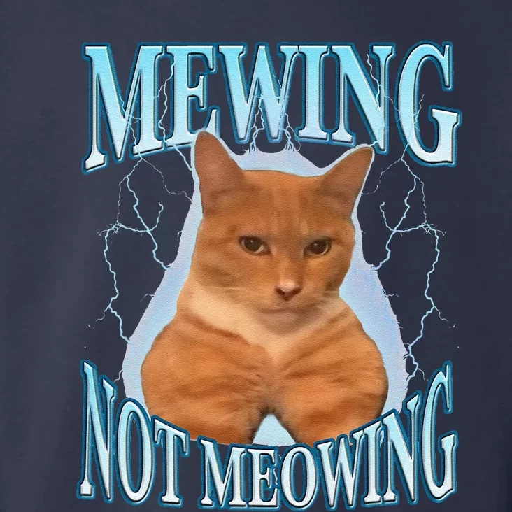 Funny Cat Meme Mewing Looksmax Meowing Cat Trend Toddler Hoodie