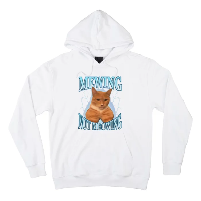 Funny Cat Meme Mewing Looksmax Meowing Cat Trend Hoodie