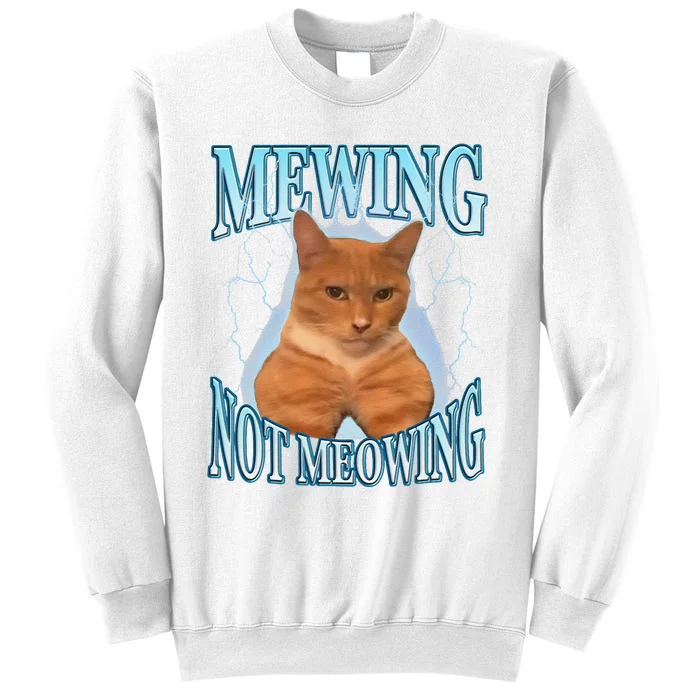Funny Cat Meme Mewing Looksmax Meowing Cat Trend Sweatshirt ...