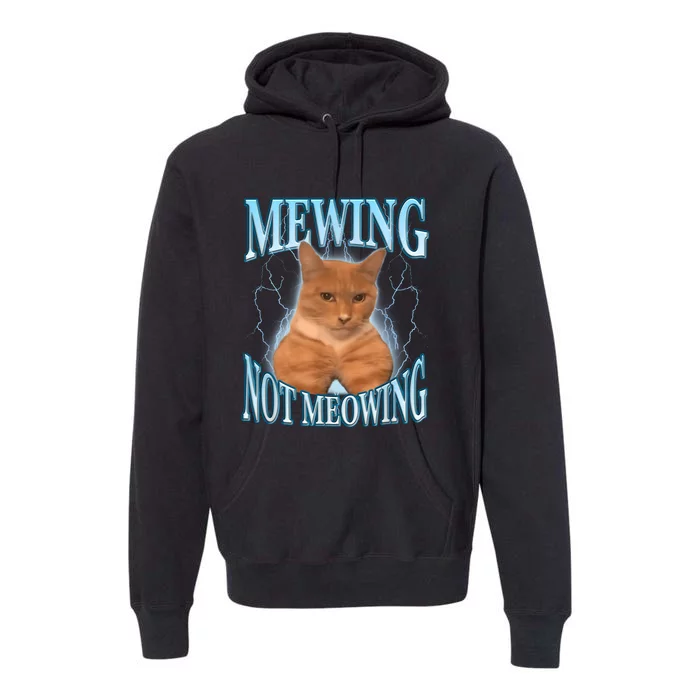 Funny Cat Meme Mewing Looksmax Meowing Cat Trend Premium Hoodie