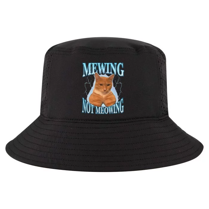 Funny Cat Meme With Meowing Looksmax Meowing Cat Cool Comfort Performance Bucket Hat