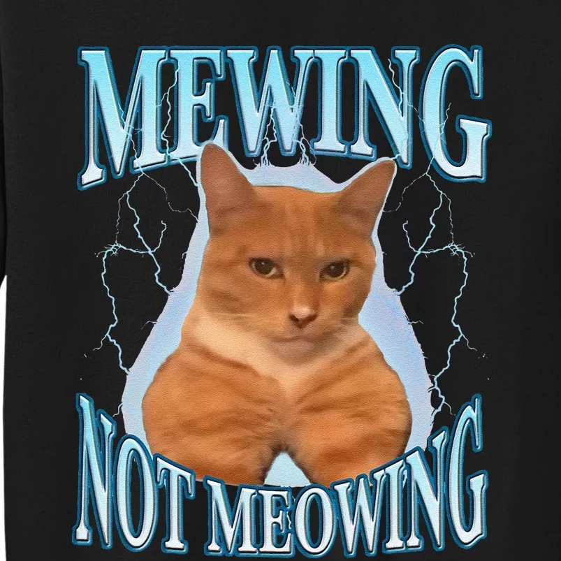 Funny Cat Meme With Meowing Looksmax Meowing Cat Sweatshirt