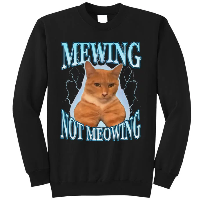 Funny Cat Meme With Meowing Looksmax Meowing Cat Sweatshirt