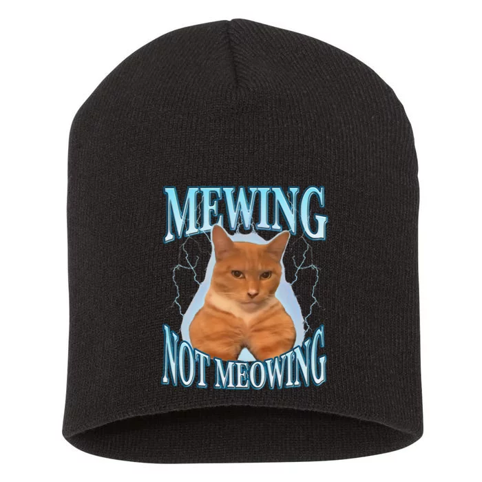 Funny Cat Meme With Meowing Looksmax Meowing Cat Short Acrylic Beanie