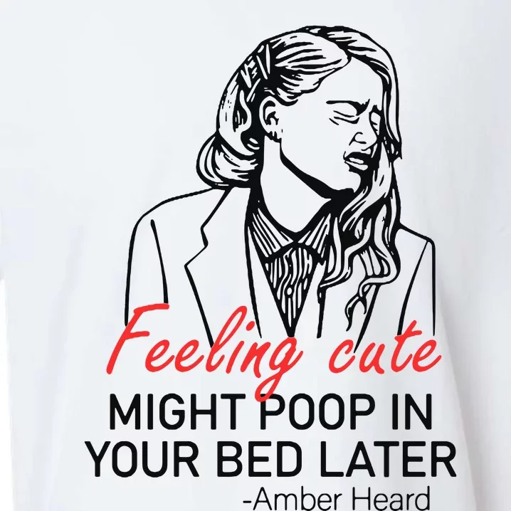 Feeling Cute Might Poop In Your Bed Later Sueded Cloud Jersey T-Shirt