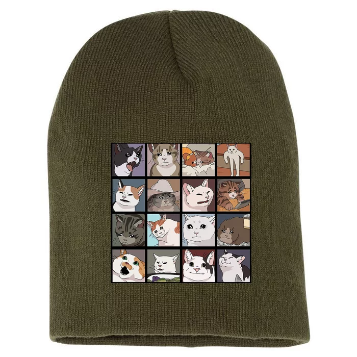 Funny Cats Meme Short Acrylic Beanie