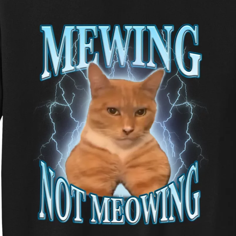 Funny Cat Meme With Meowing Looksmax Meowing Cat Tall Sweatshirt