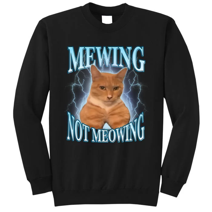 Funny Cat Meme With Meowing Looksmax Meowing Cat Tall Sweatshirt