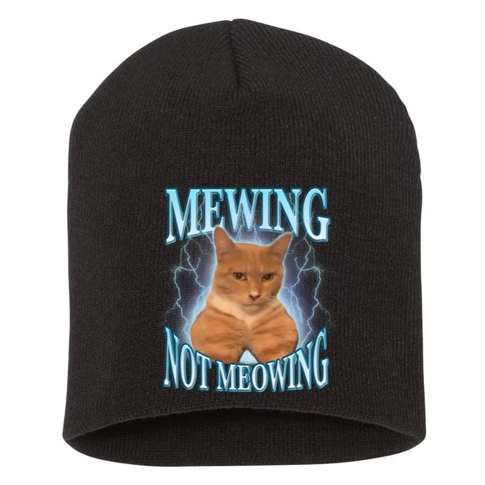 Funny Cat Meme With Meowing Looksmax Meowing Cat Short Acrylic Beanie