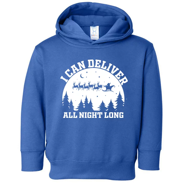 Funny Christmas Naughty Santa I Can Deliver All Night Long Funny Gift Toddler Hoodie