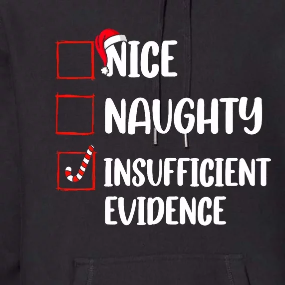 Funny Christmas Nice Naughty Insufficient Evidence Santa Premium Hoodie