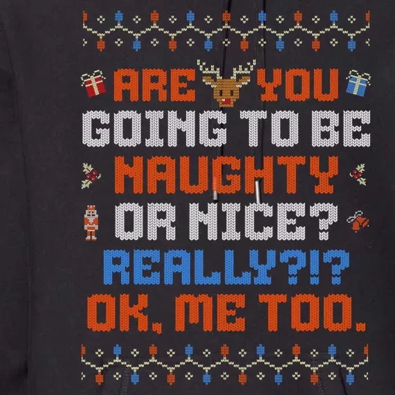 Funny Christmas Naughty Or Nice Ugly Sweater Premium Hoodie