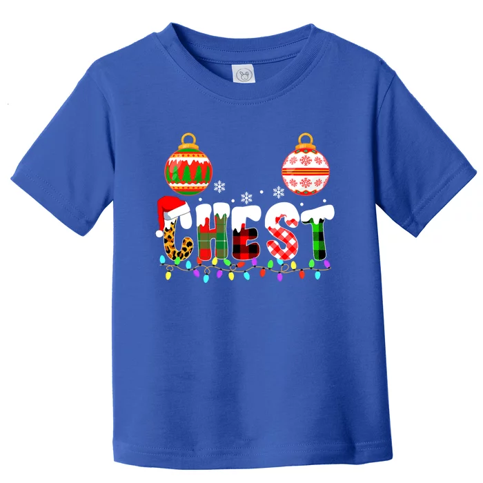 Funny Chest Nuts Couples Christmas Chestnuts Adult Matching Gift Toddler T-Shirt