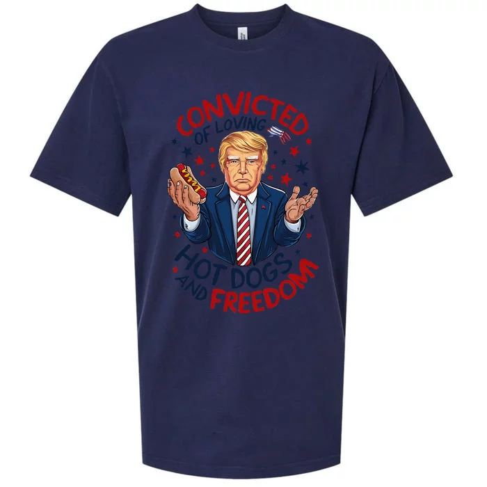 Funny Convicted Of Loving Hot Dogs And Freedom Sueded Cloud Jersey T-Shirt