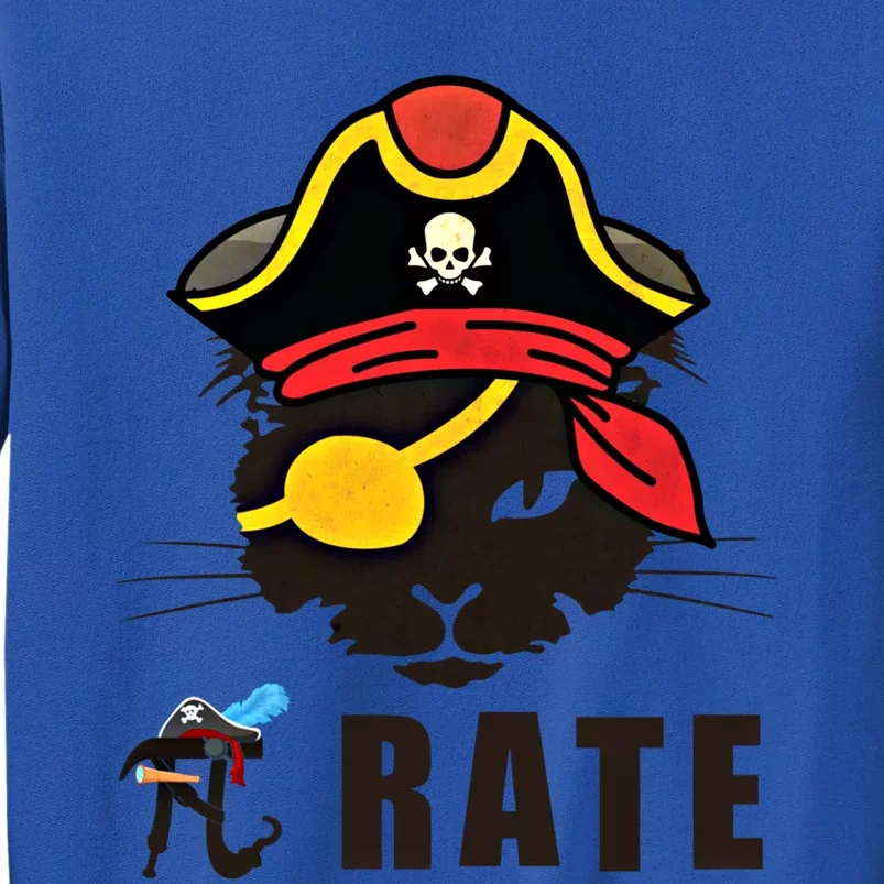 Funny Cat Pi Day Pirate Happy Pi Day Gift Sweatshirt