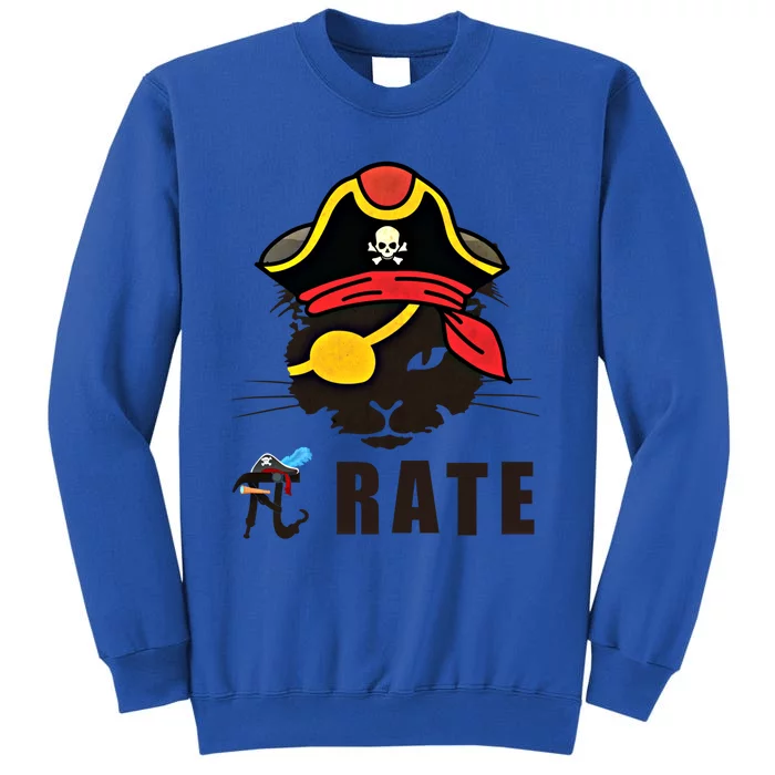 Funny Cat Pi Day Pirate Happy Pi Day Gift Tall Sweatshirt