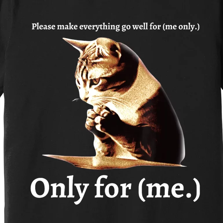 Funny Cat Please Make Everything Go Well For Me Only For Me Premium T-Shirt