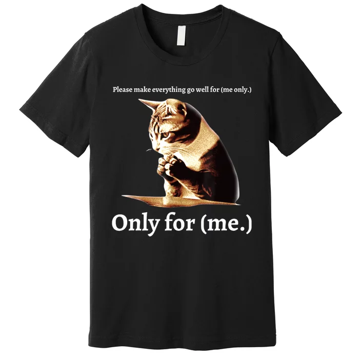 Funny Cat Please Make Everything Go Well For Me Only For Me Premium T-Shirt