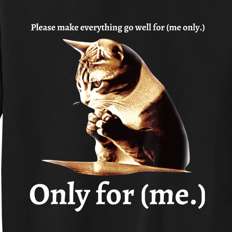 Funny Cat Please Make Everything Go Well For Me Only For Me Tall Sweatshirt