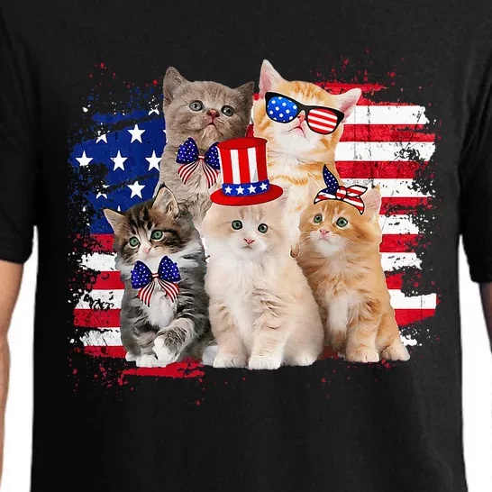 Funny Cat Patriotic USA Cat Lovers Cat Moms 4th July Pajama Set