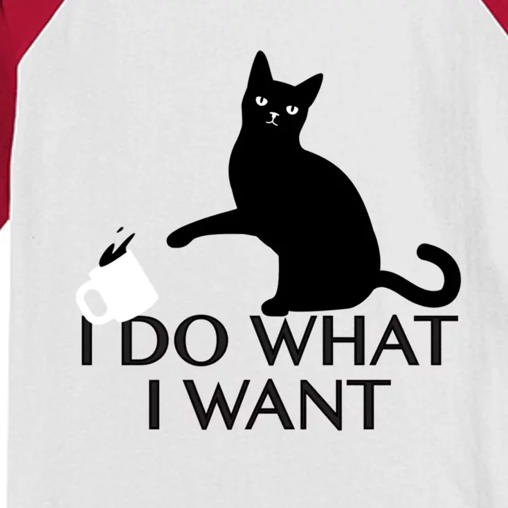 Funny Cat Personality Gift I Do What I Want Gift Kids Colorblock Raglan Jersey