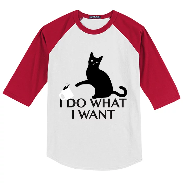 Funny Cat Personality Gift I Do What I Want Gift Kids Colorblock Raglan Jersey