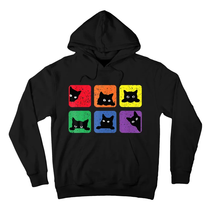 Funny Cats Pride 2024 Lgbt Cat Rainbow Hoodie