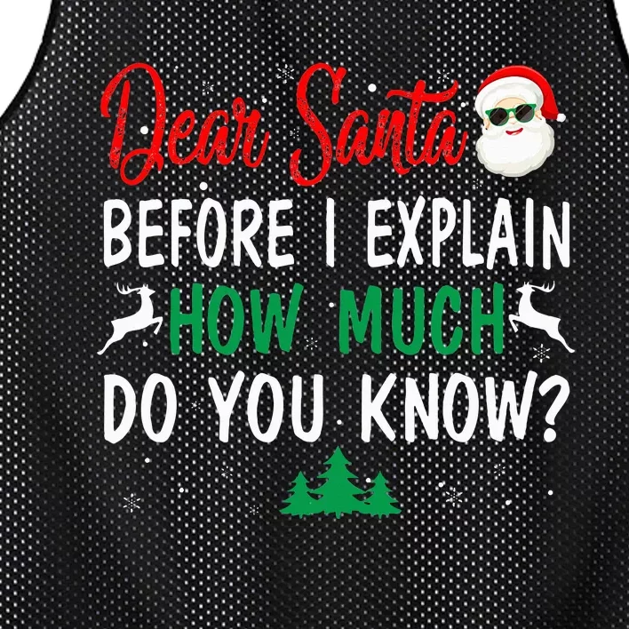 Funny Christmas Pajama Dear Santa I Can Explain Mesh Reversible Basketball Jersey Tank