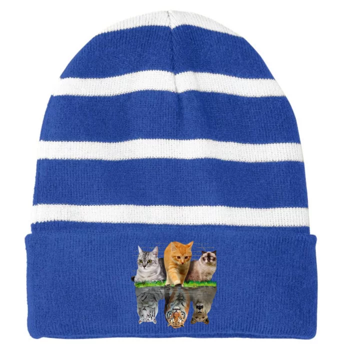 Fun Cat Reflection Gift Design Idea Cute Gift Striped Beanie with Solid Band