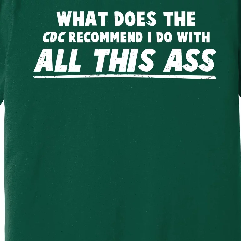 Funny CDC Recommend All This Ass Premium T-Shirt