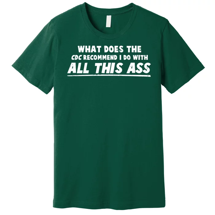 Funny CDC Recommend All This Ass Premium T-Shirt