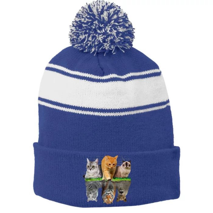 Fun Cat Reflection Gift Design Idea Cute Gift Stripe Pom Pom Beanie