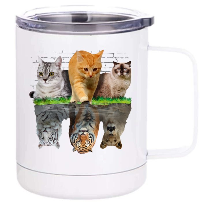 Fun Cat Reflection Gift Design Idea Cute Gift Front & Back 12oz Stainless Steel Tumbler Cup