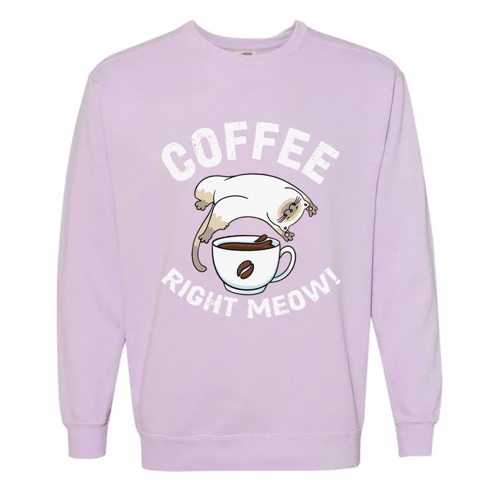 Funny Coffee Right Meow Cat Cute Garment-Dyed Sweatshirt