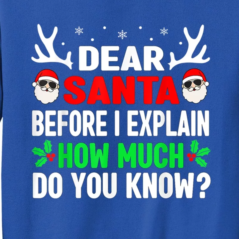 Funny Christmas Reindeer Dear Santa I Can Explain Cool Gift Sweatshirt