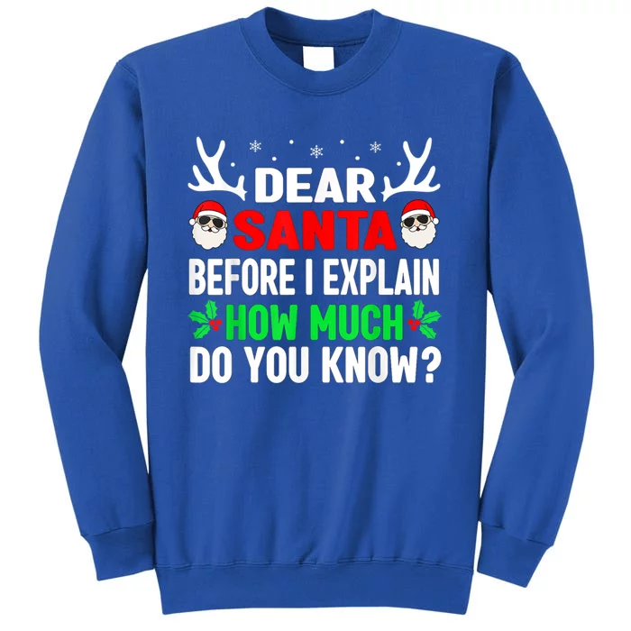 Funny Christmas Reindeer Dear Santa I Can Explain Cool Gift Sweatshirt