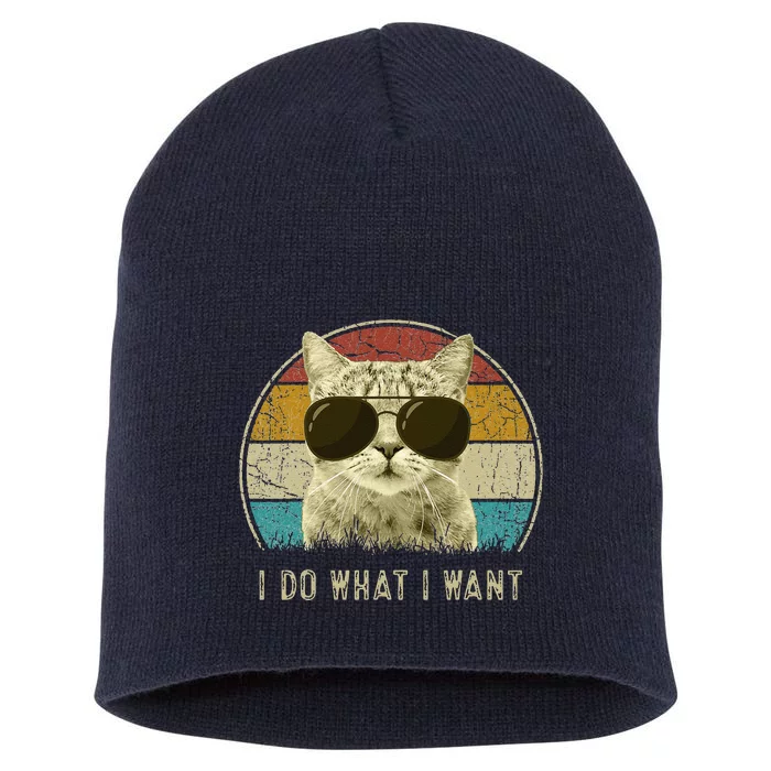 Funny Cat Retro Cats Lover I Do What I Want Short Acrylic Beanie