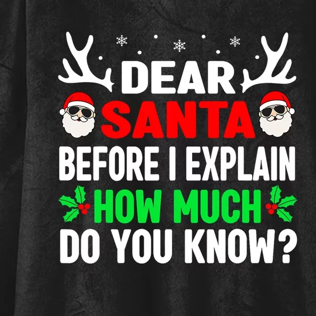 Funny Christmas Shirts Adults Dear Santa I Can Explain Hooded Wearable Blanket