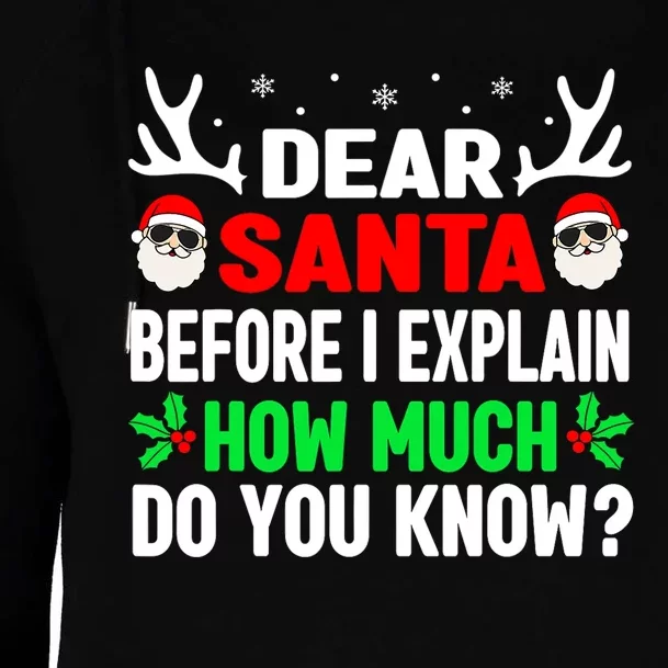 Funny Christmas Shirts Adults Dear Santa I Can Explain Womens Funnel Neck Pullover Hood