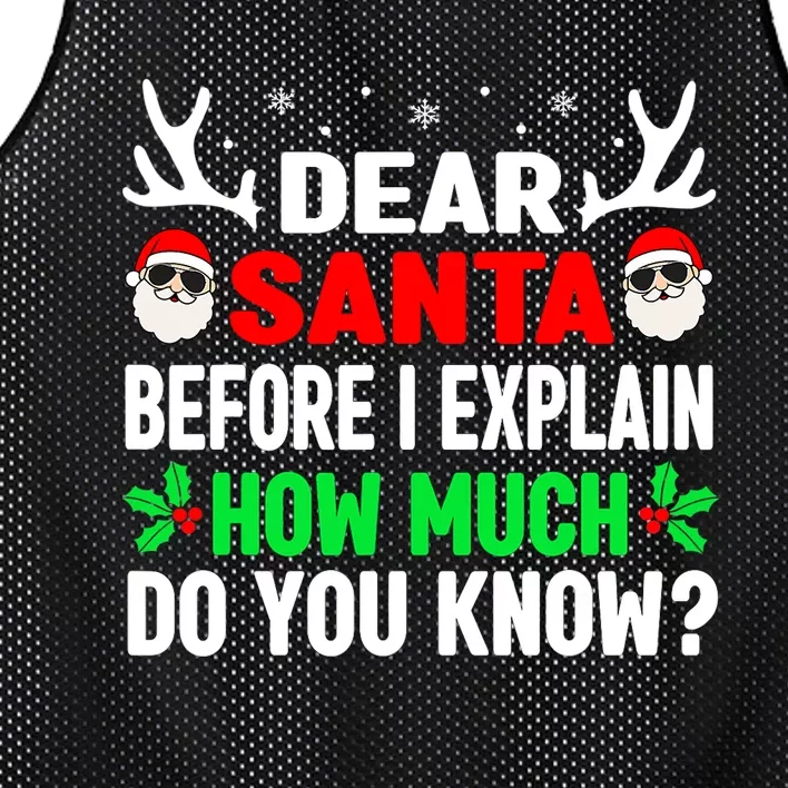 Funny Christmas Shirts Adults Dear Santa I Can Explain Mesh Reversible Basketball Jersey Tank