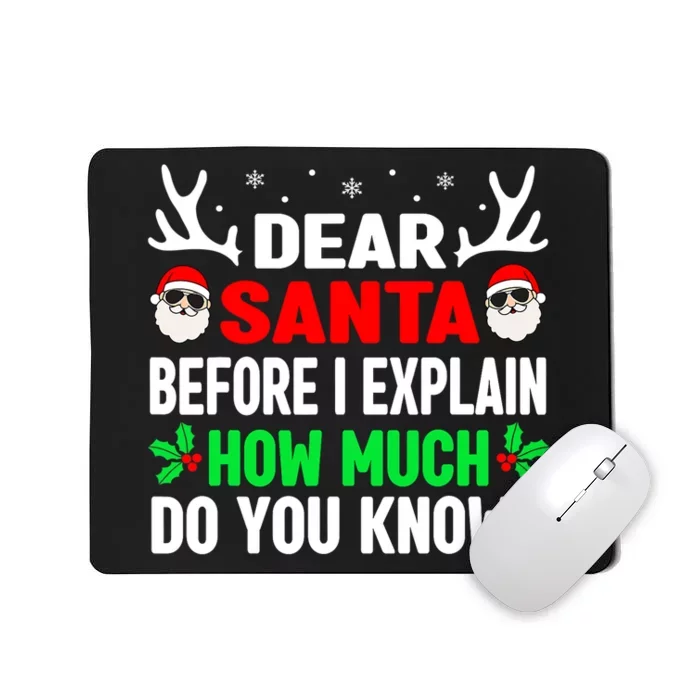 Funny Christmas Shirts Adults Dear Santa I Can Explain Mousepad