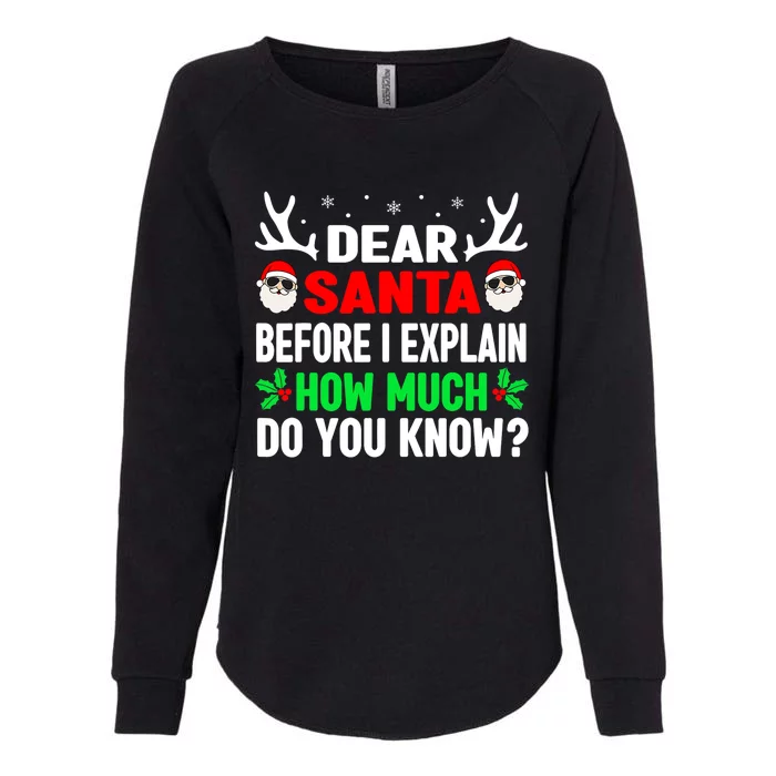 Funny Christmas Shirts Adults Dear Santa I Can Explain Womens California Wash Sweatshirt