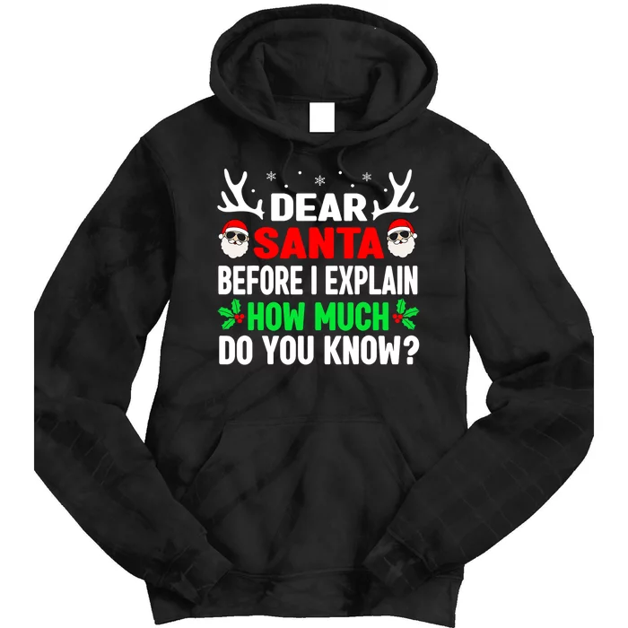 Funny Christmas Shirts Adults Dear Santa I Can Explain Tie Dye Hoodie