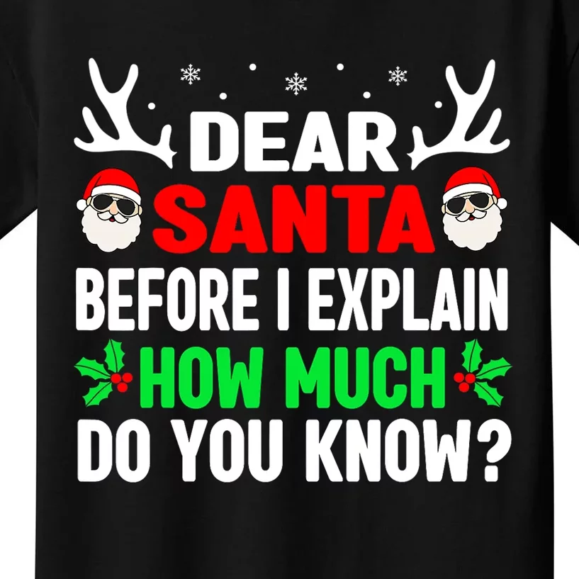 Funny Christmas Shirts Adults Dear Santa I Can Explain Kids T-Shirt